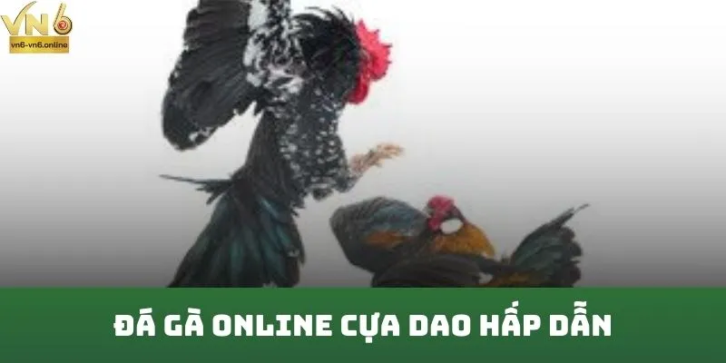 Đá gà online cựa dao hấp dẫn