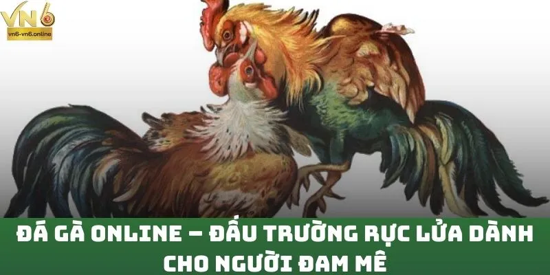 Đá Gà Online – Đấu Trường Rực Lửa Dành Cho Người Đam Mê