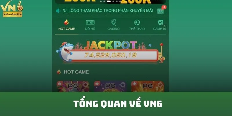 Tổng quan về VN6