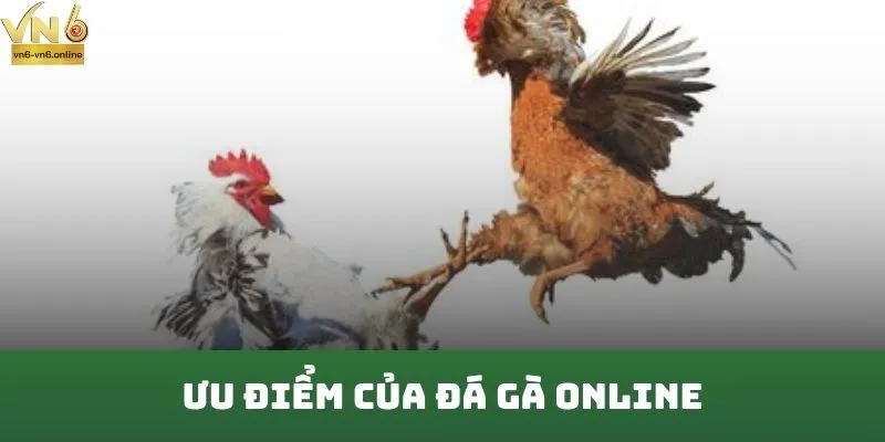 Ưu điểm của đá gà online